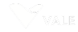 logo-vale-axxo